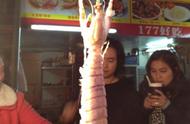 半米长的巨型虾王被捕获，众人惊叹：无论是清蒸还是盐焗都让人垂涎