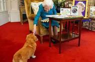 英国女王的宠物犬现在过得如何？